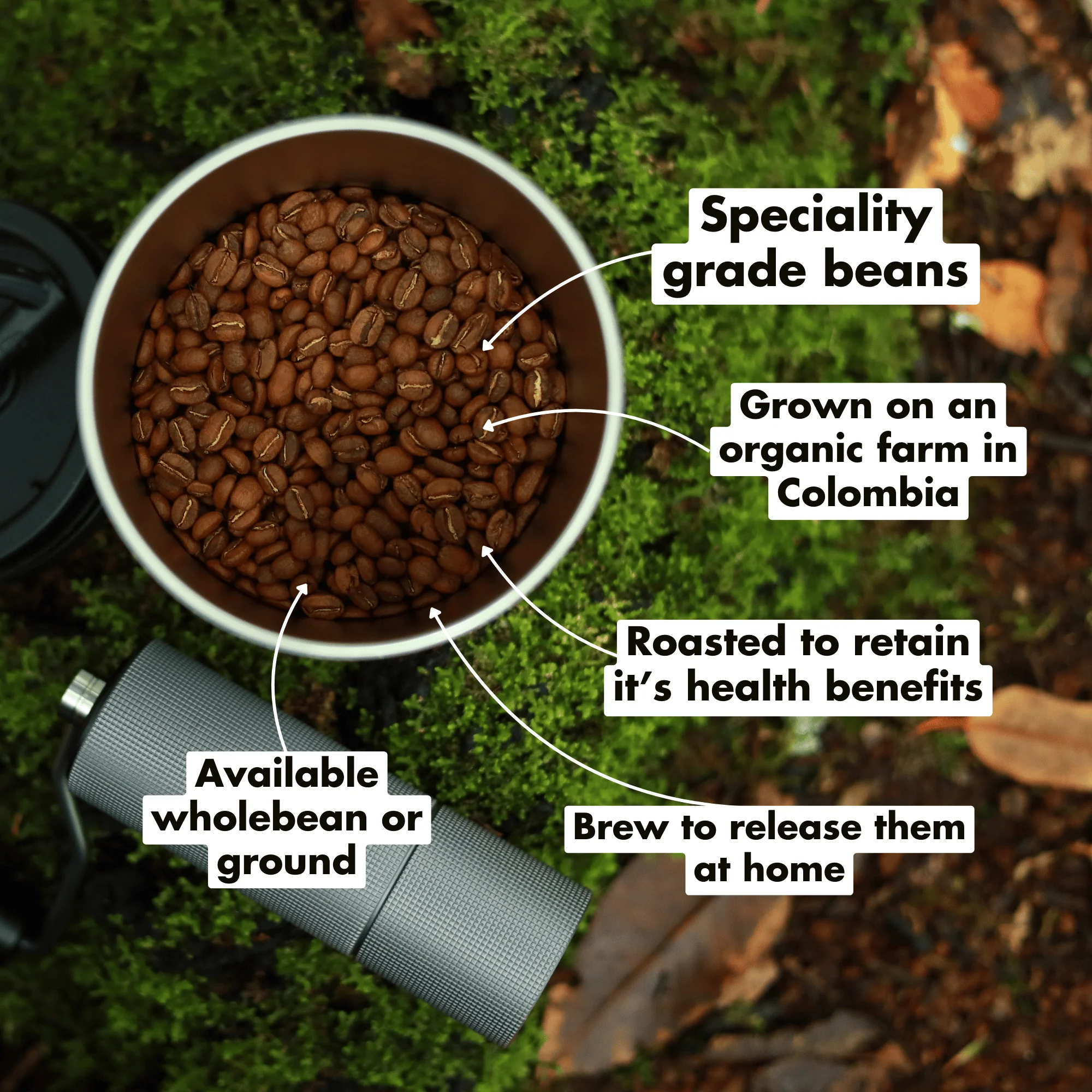 Organic Dark(ish) Roast Coffee - Image 4