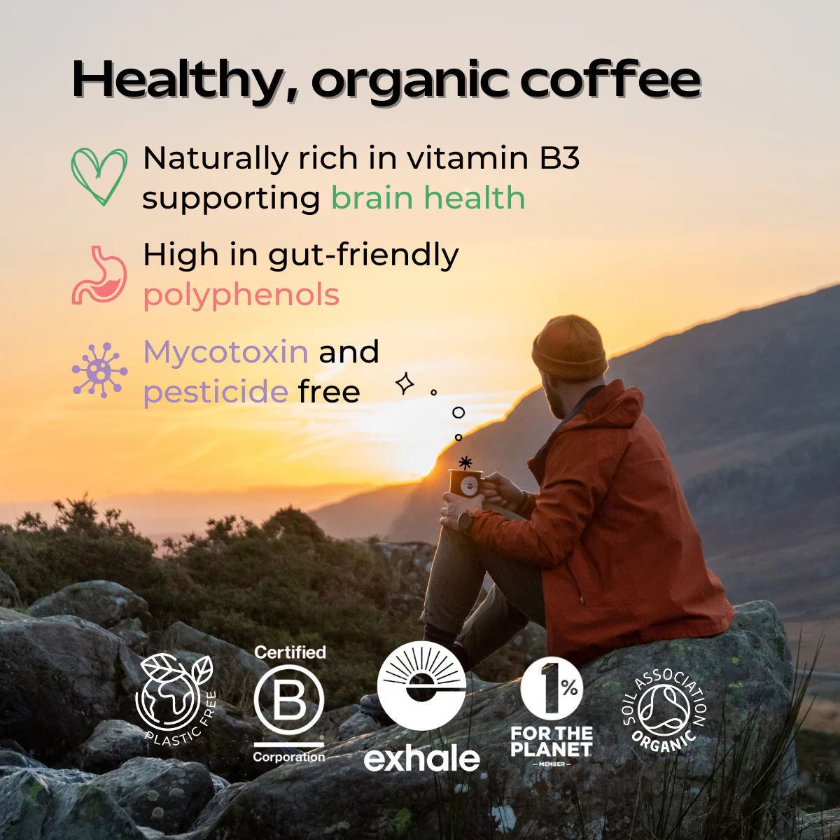Organic House Roast Coffee - Image 5